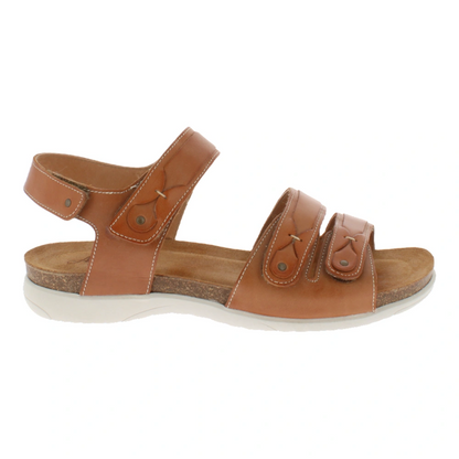  Adour - AD 2512 B (Marron)