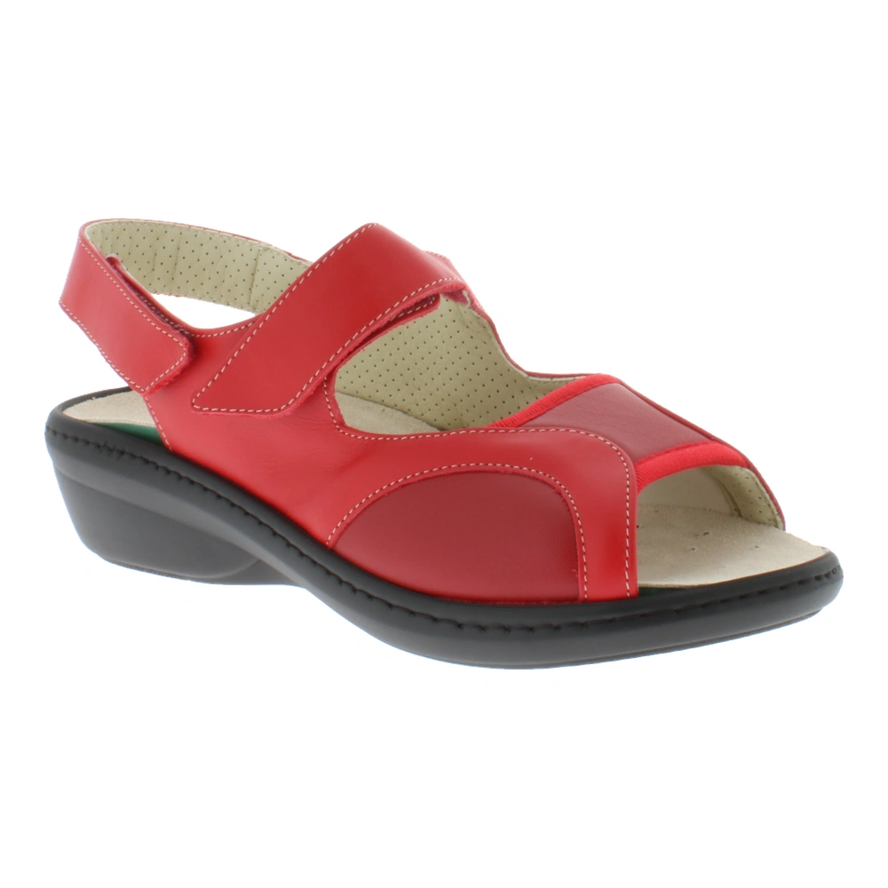  Podowell - Delya (Rouge)