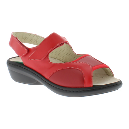  Podowell - Delya (Rouge)