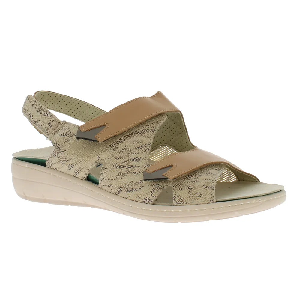  Podowell - Gina (Camel)